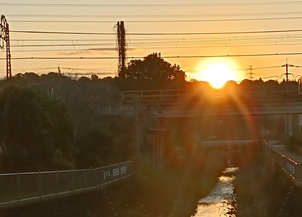 IMG_20260101_071407_1