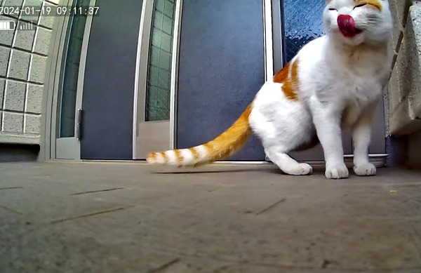 3691771426_1705815306617