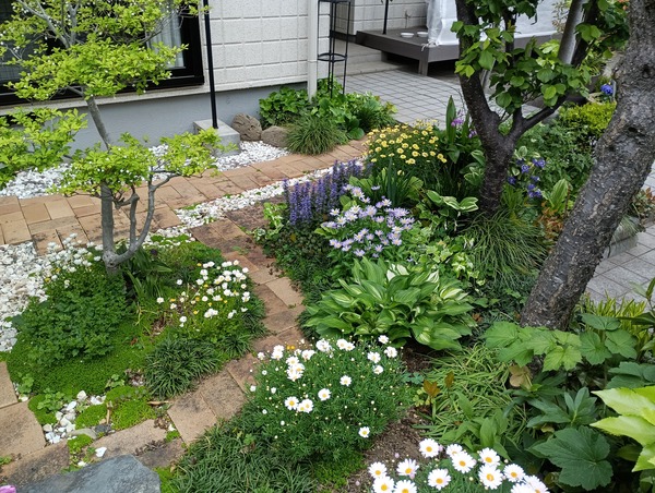 IMG_20250428_063625_1