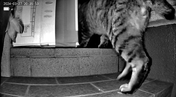 3691771426_1711931077874