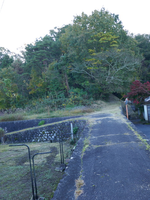 P1240561