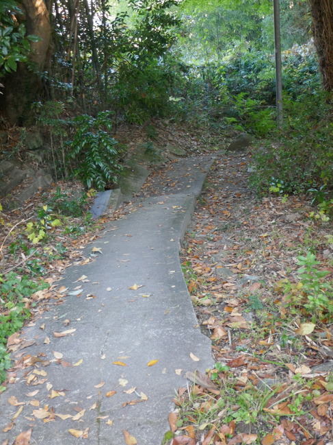 P1240544