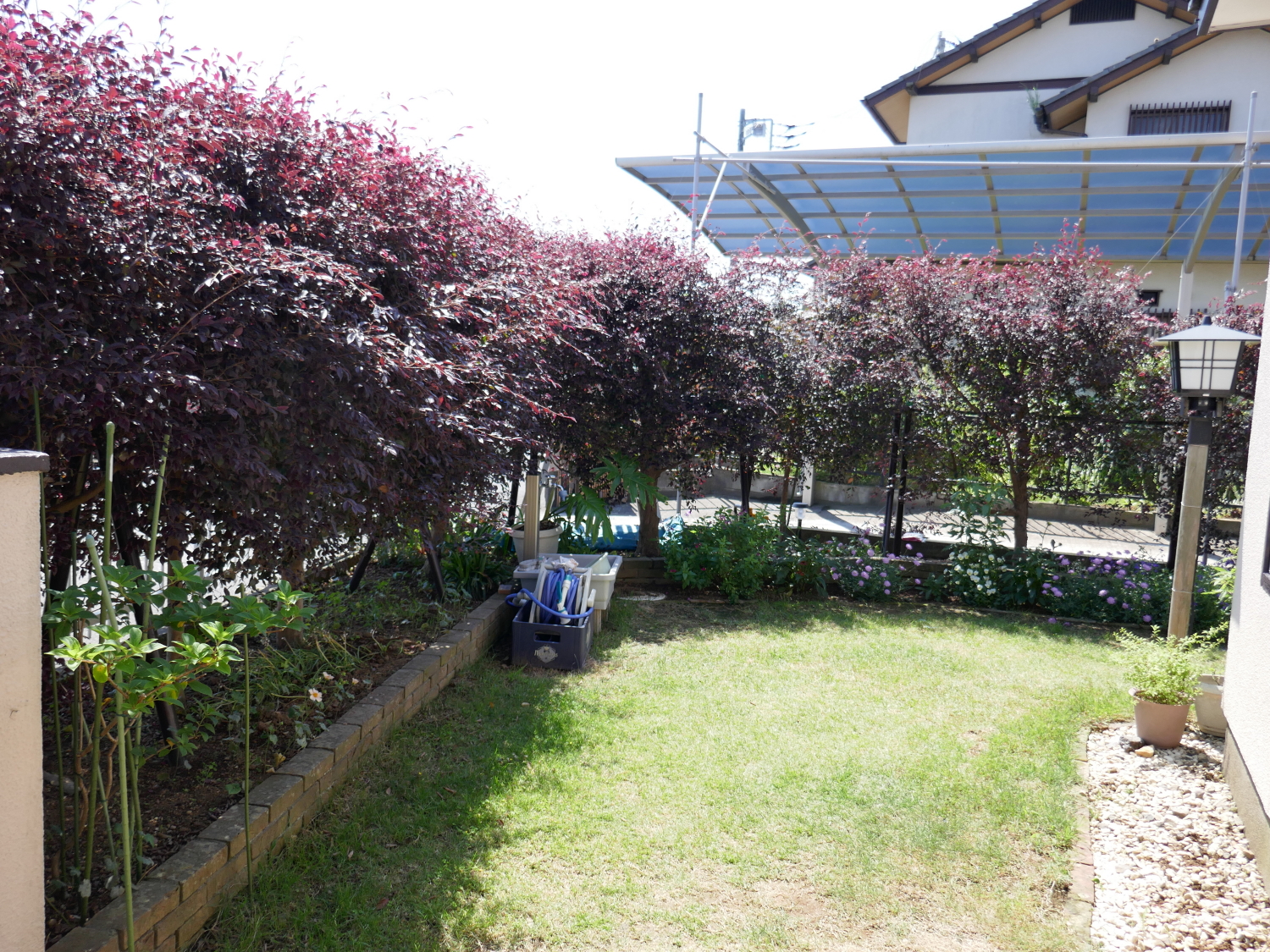 庭木の剪定がんばったよ くろいわんこのブログ