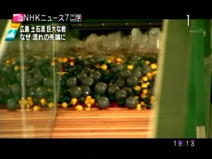 PDVD_021