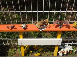 DSC02342