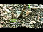 PDVD_004