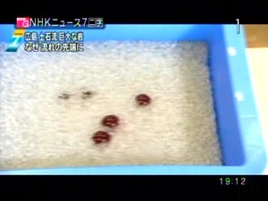 PDVD_012