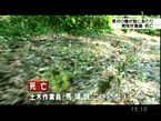 PDVD_003