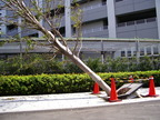 IMGP1716