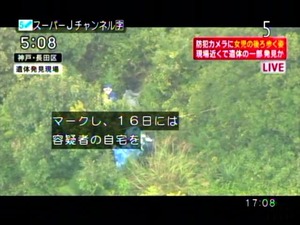 PDVD_018