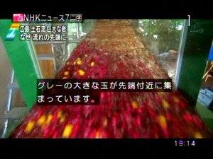 PDVD_043