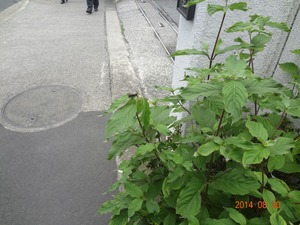 DSC03569
