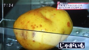 DSC03564