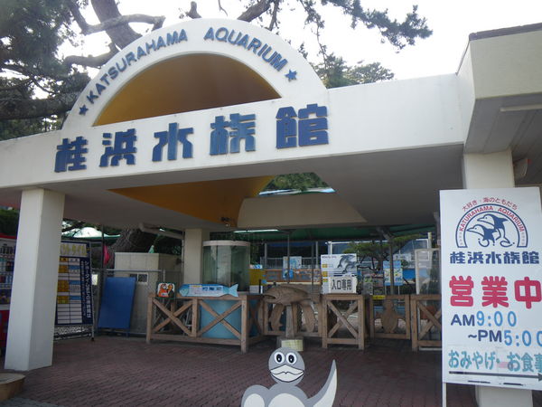 【観光】GW中の桂浜水族館　大勢の行列で従業員驚愕