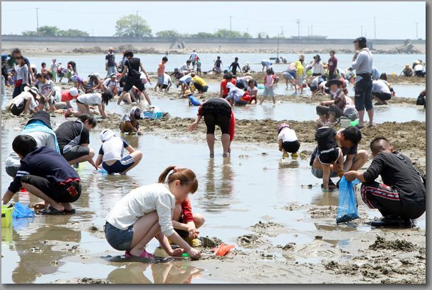 潮干狩り 富津海岸が賑わい見せる 全国旅行の旅 潮干狩り 富津海岸が賑わい見せる 全国旅行の旅