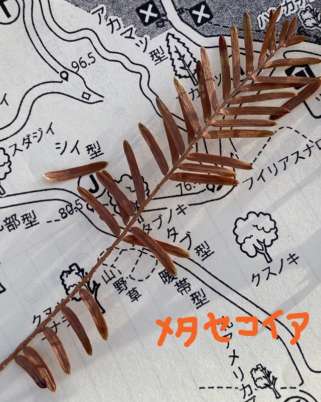 20231217_060718687_iOS