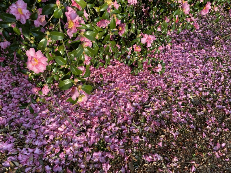 20231217_064813264_iOS