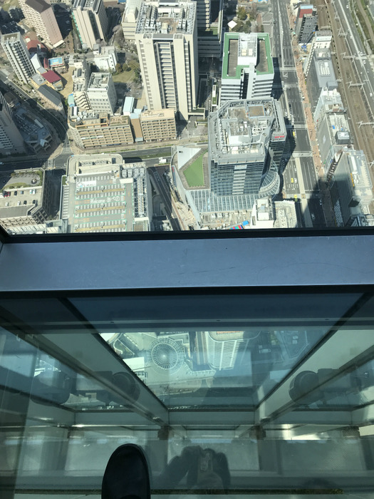 20190404_011424621_iOS