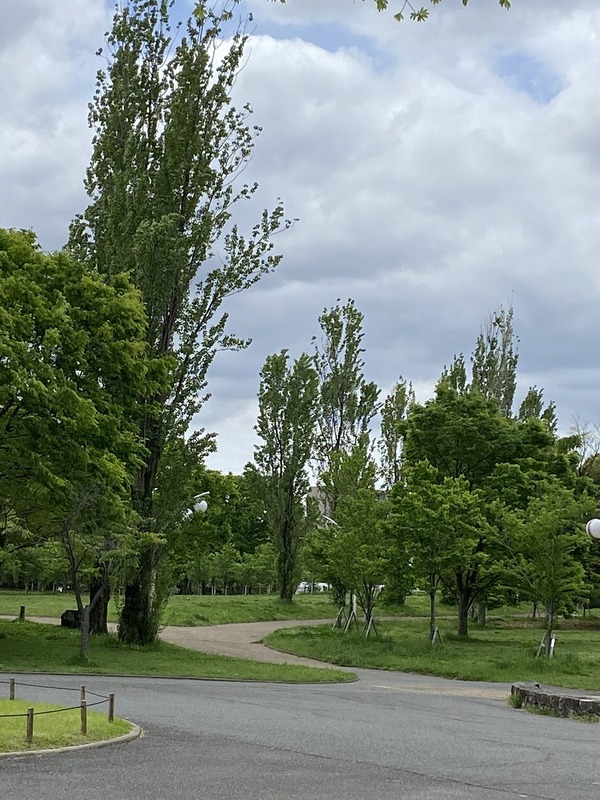 20240422_020149358_iOS