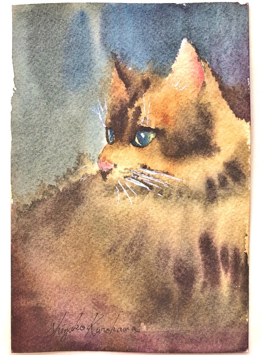 葉書de一日一枚 滲みで描く「狸か猫かそれが問題だ」(三匹目)