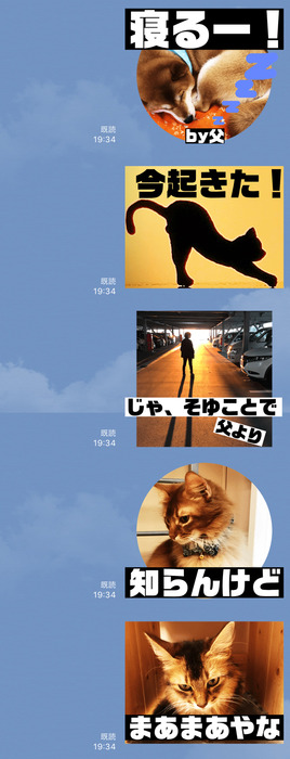 20190131_205622756_iOS