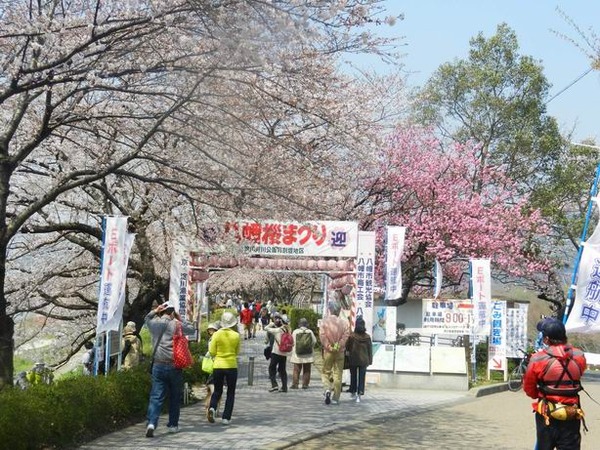 2012-04-09 10-23-11