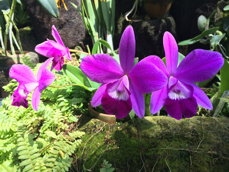 20160504_013945843_iOS