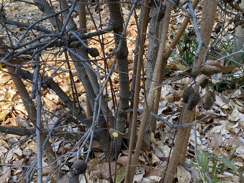 20240117_013156746_iOS