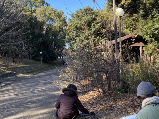 20240117_013126738_iOS