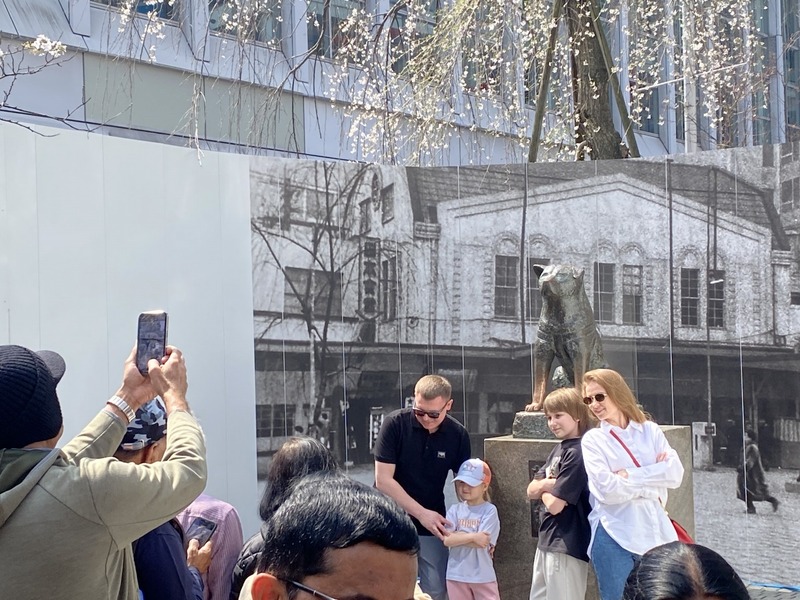 20250327_025230745_iOS