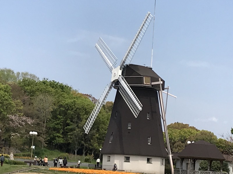20210408_022016438_iOS