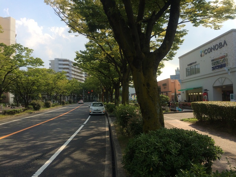 20140729_070128598_iOS