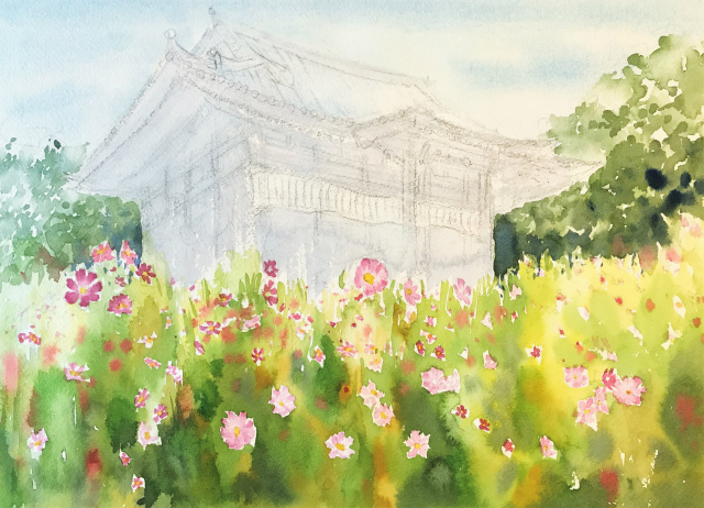 透明水彩画「コスモス寺(奈良)」製作途中 (4)