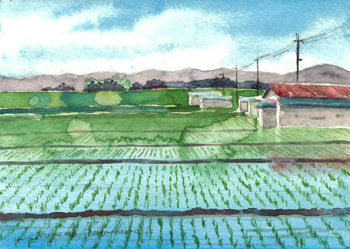 「絵墨」をちょっと使った 透明水彩画「枚方の田園」