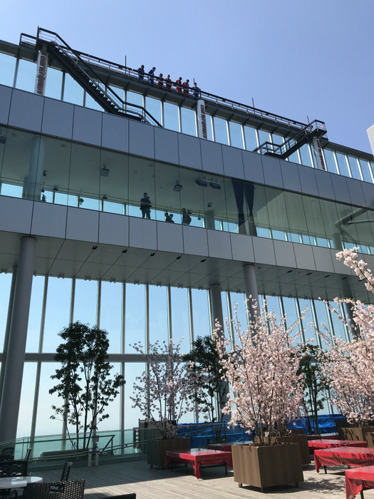 20190404_014757298_iOS