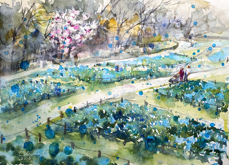 ネモフィラの青い絨毯（鶴見緑地風車の丘）