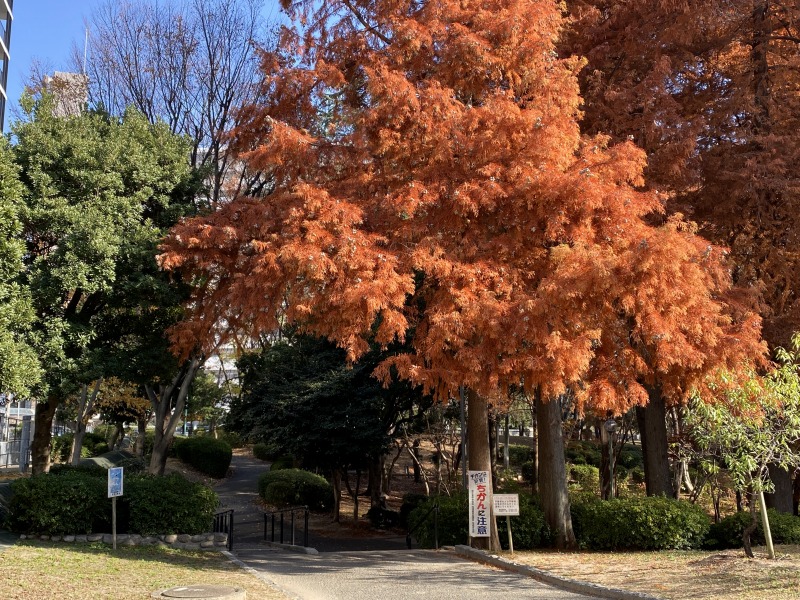 20231210_041843810_iOS