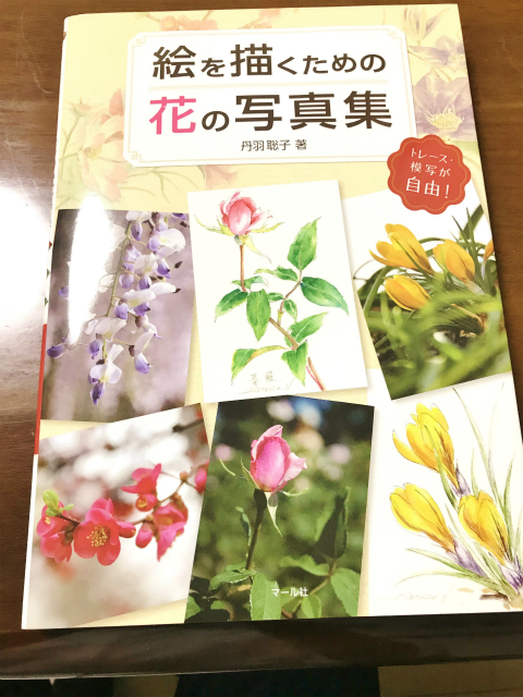 20181009_104656919_iOS