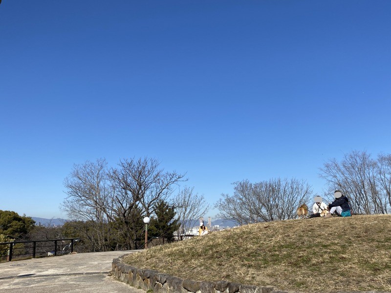 20240117_040645238_iOS