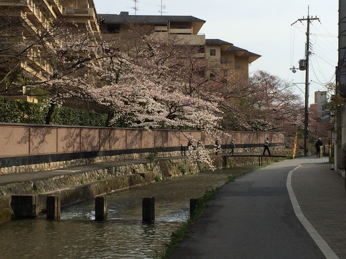 20160329_070130730_iOS