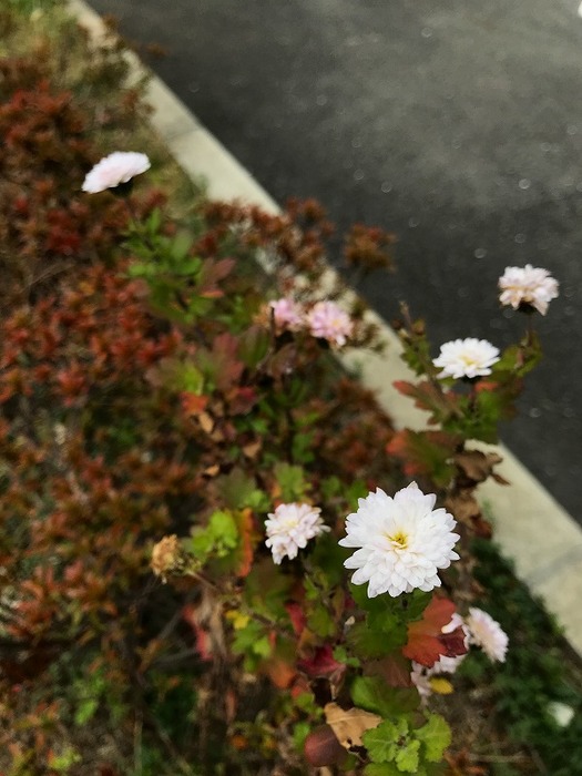 20190214_043555981_iOS