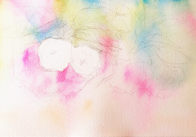 2020.01.18透明水彩画「八重桜」サムサイズ 途中