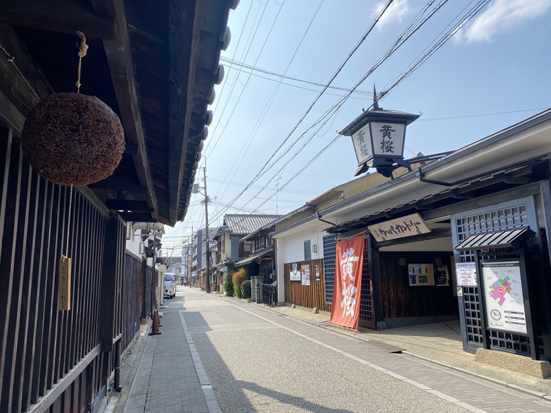 20250411_054845196_iOS