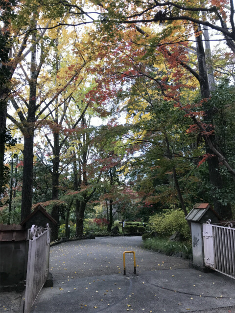 20191125_041246486_iOS