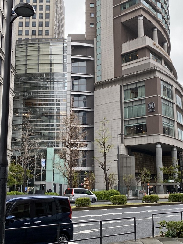 20250329_034020899_iOS