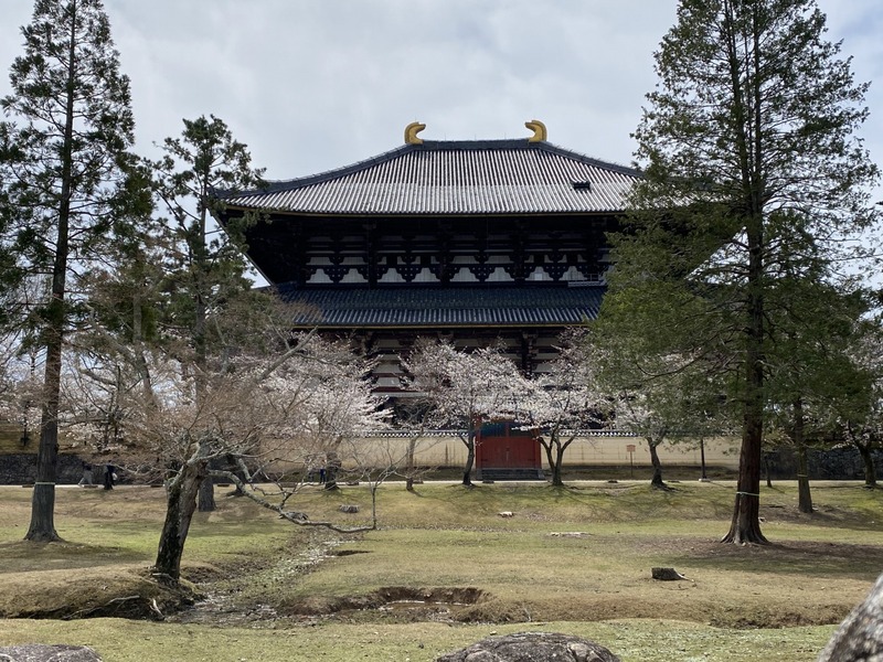 20250331_021944055_iOS