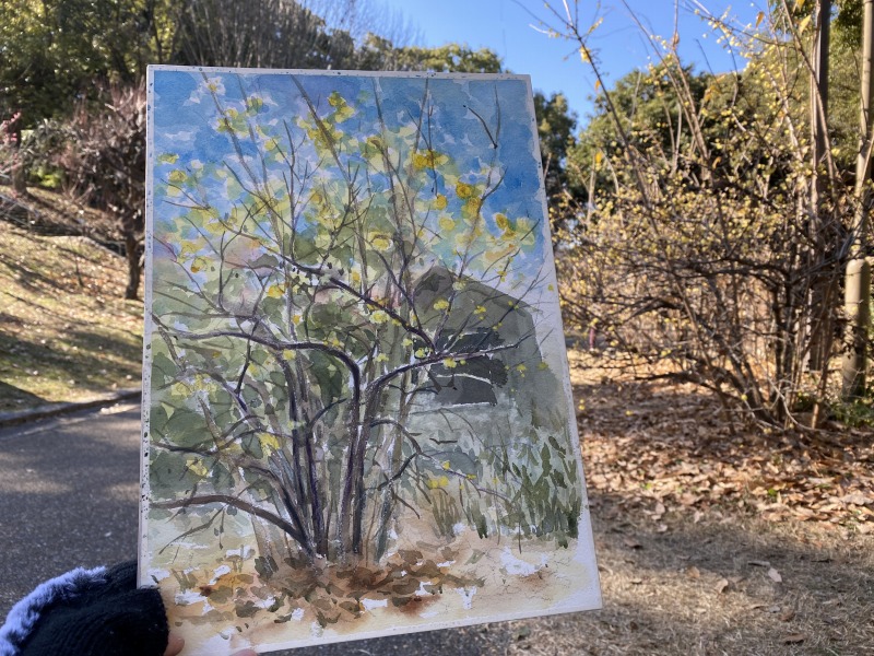 20240117_035311914_iOS