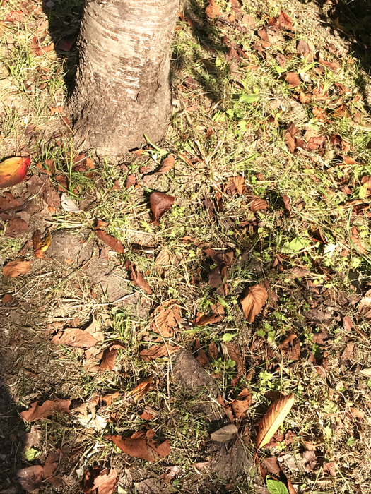 20181030_014818395_iOS
