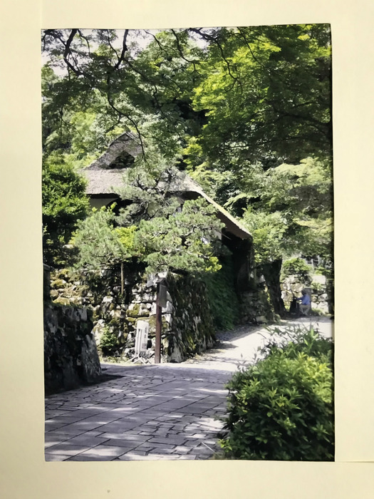 20180424_043427879_iOS