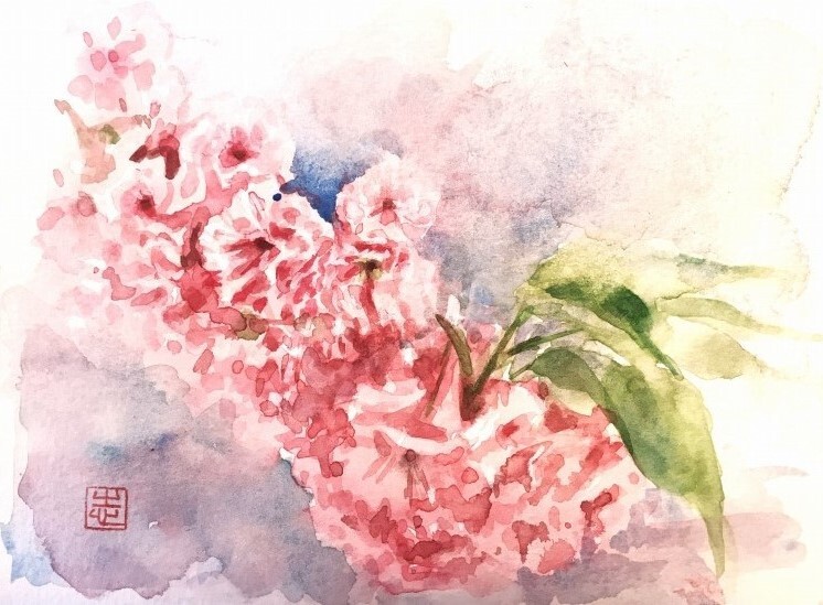 ５月３０日（火）花を描くワークショップ＆５月１７日（水）鶴見緑地スケッチ会